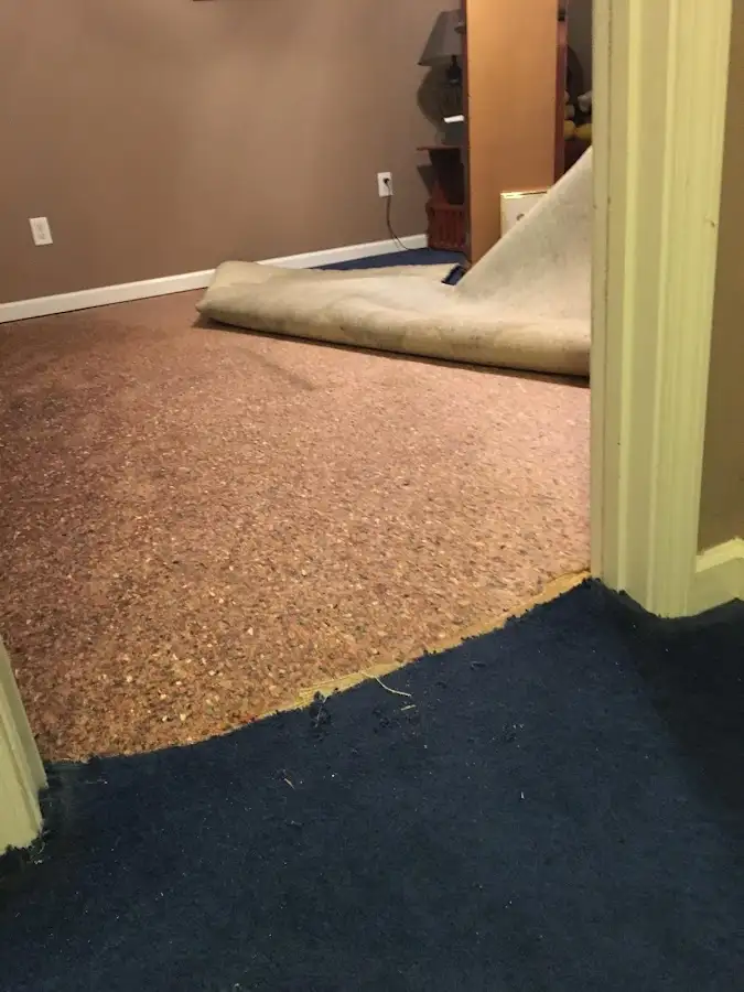 Carpet pad removal revealing water damage during Drying & Dehumidification in Solana Beach
