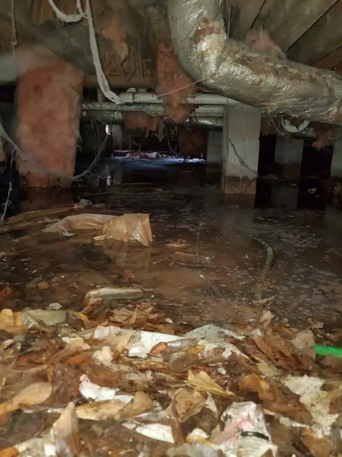 Crawl space flood assessment for Leak Detection & Repair in Solana Beach
